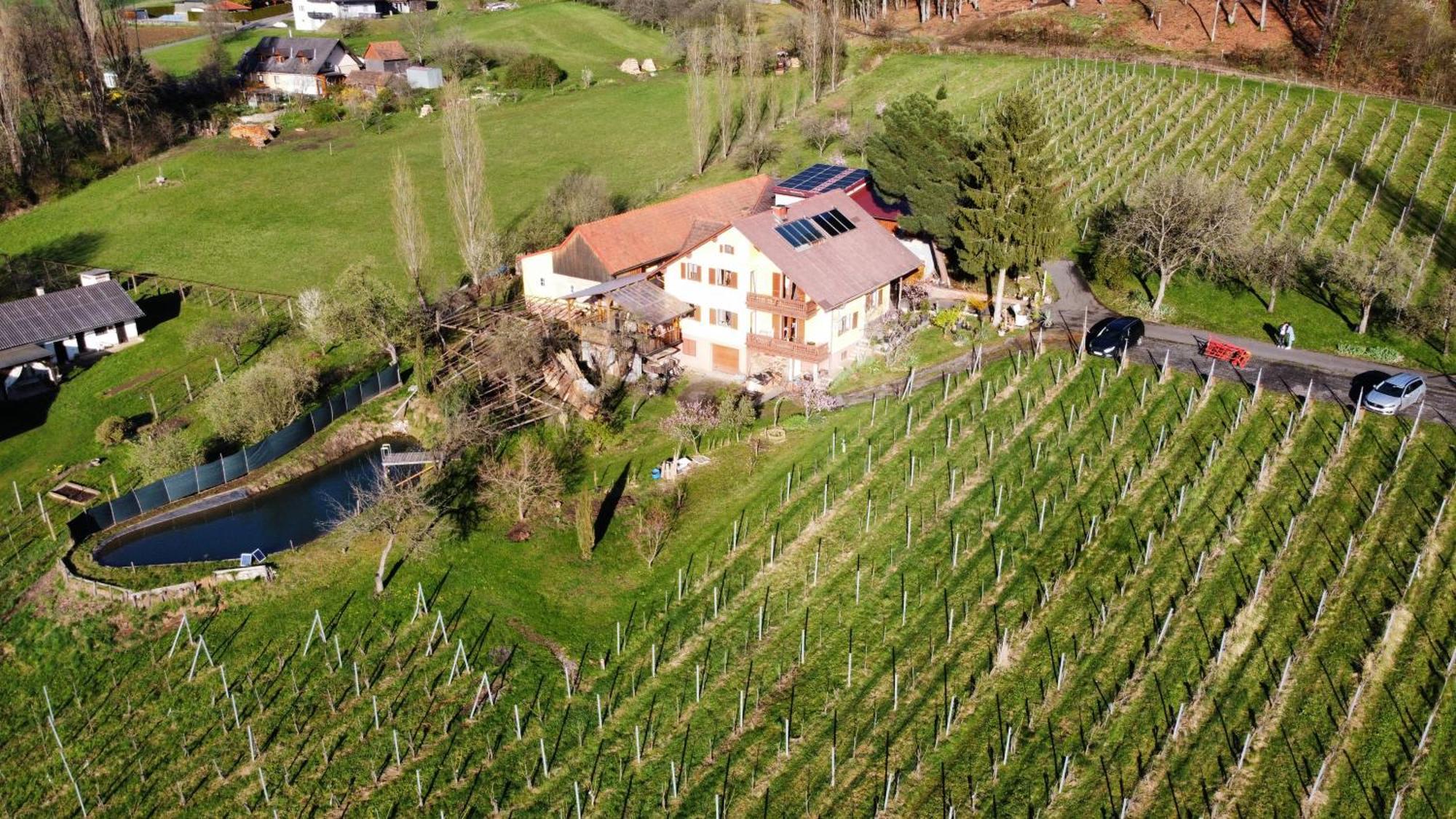 Appartement Weingut Schoberhof Bad Gleichenberg Kültér fotó