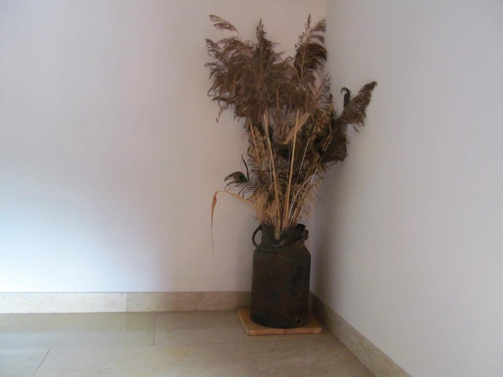 Appartement Weingut Schoberhof Bad Gleichenberg Szoba fotó