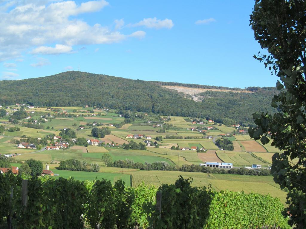 Appartement Weingut Schoberhof Bad Gleichenberg Szoba fotó