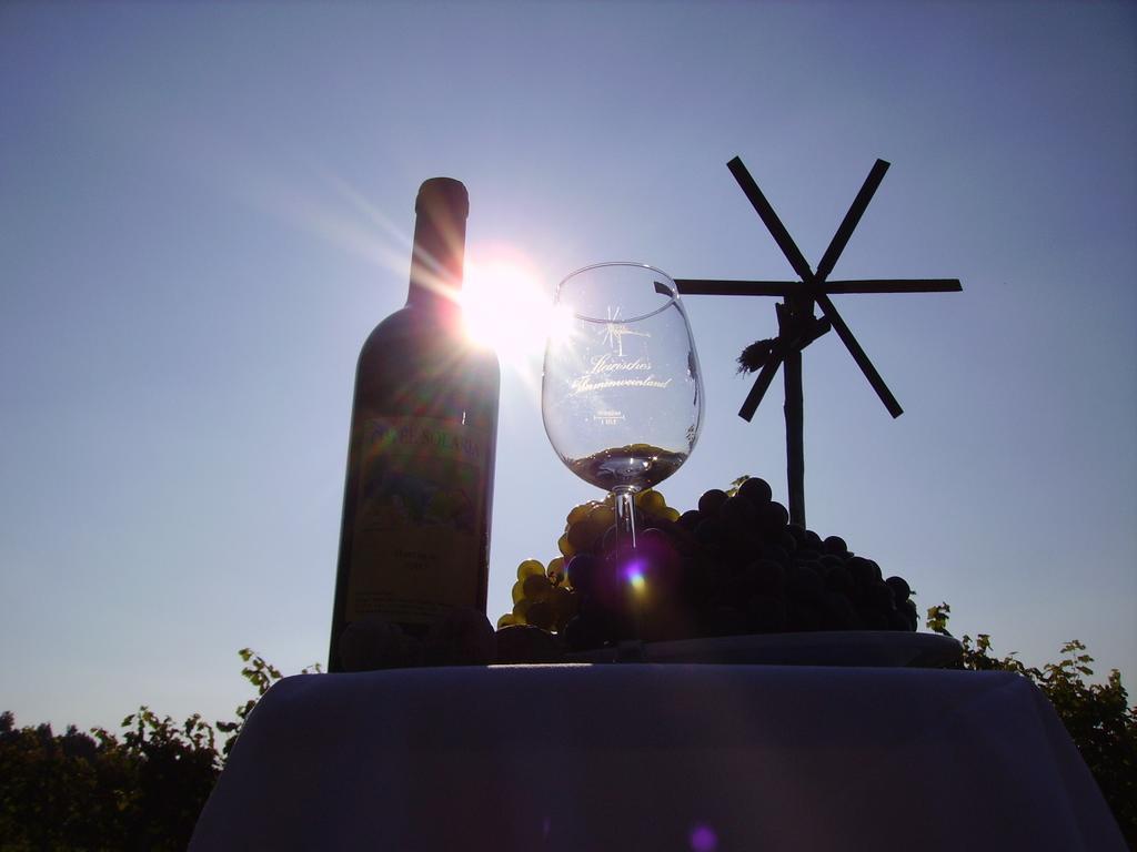 Appartement Weingut Schoberhof Bad Gleichenberg Szoba fotó