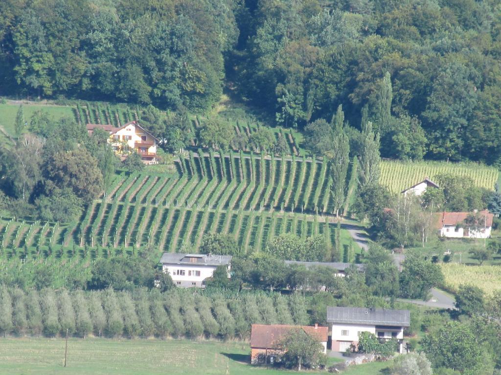 Appartement Weingut Schoberhof Bad Gleichenberg Szoba fotó