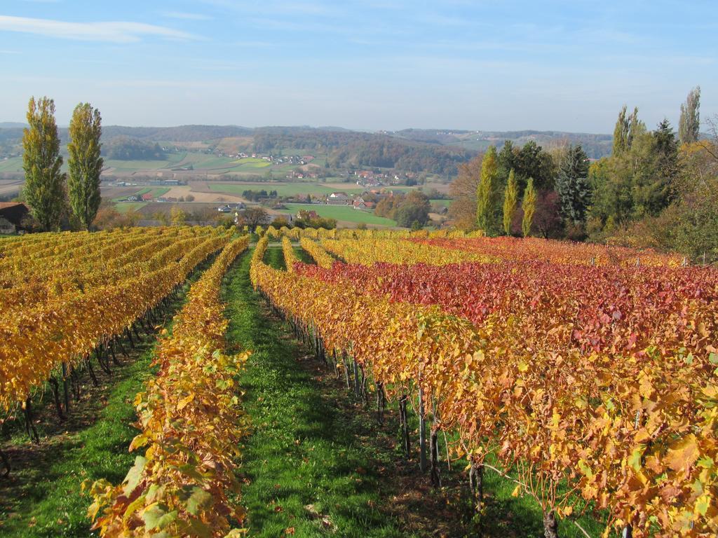 Appartement Weingut Schoberhof Bad Gleichenberg Szoba fotó