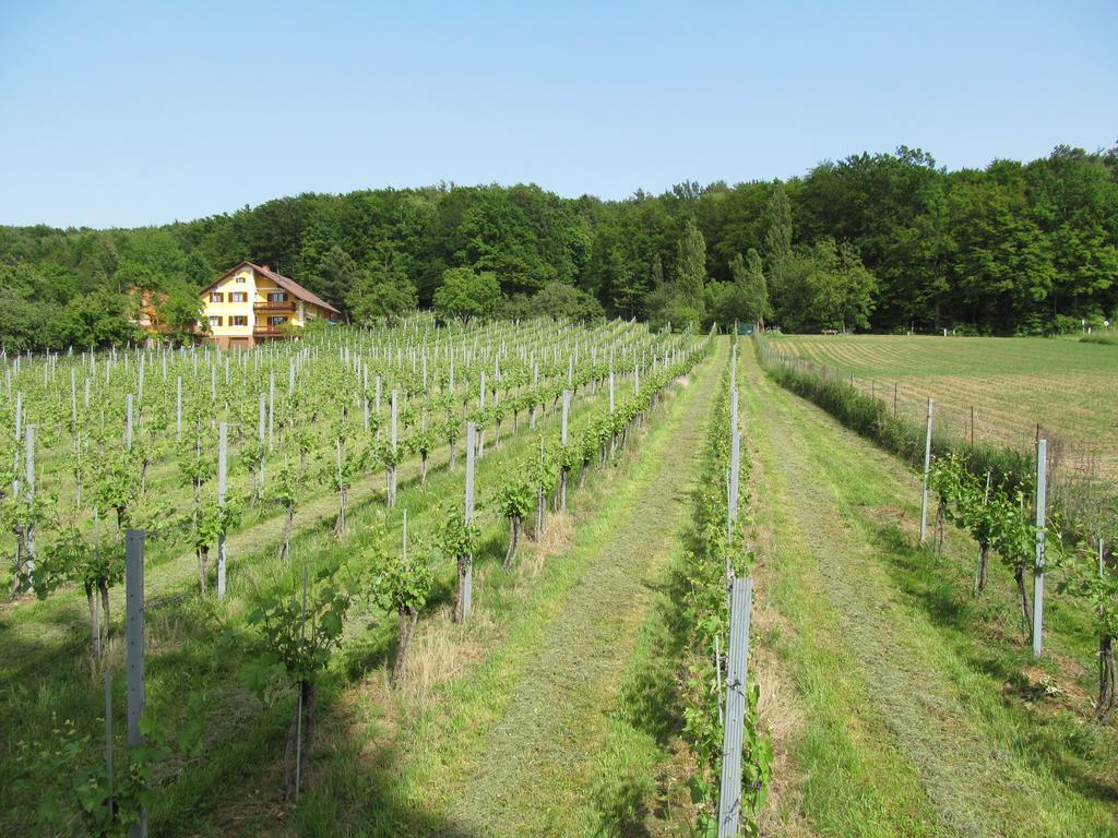 Appartement Weingut Schoberhof Bad Gleichenberg Szoba fotó