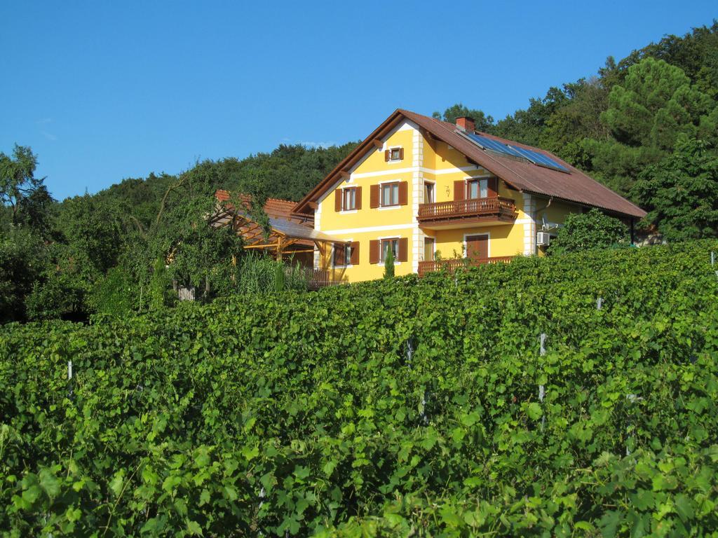 Appartement Weingut Schoberhof Bad Gleichenberg Kültér fotó
